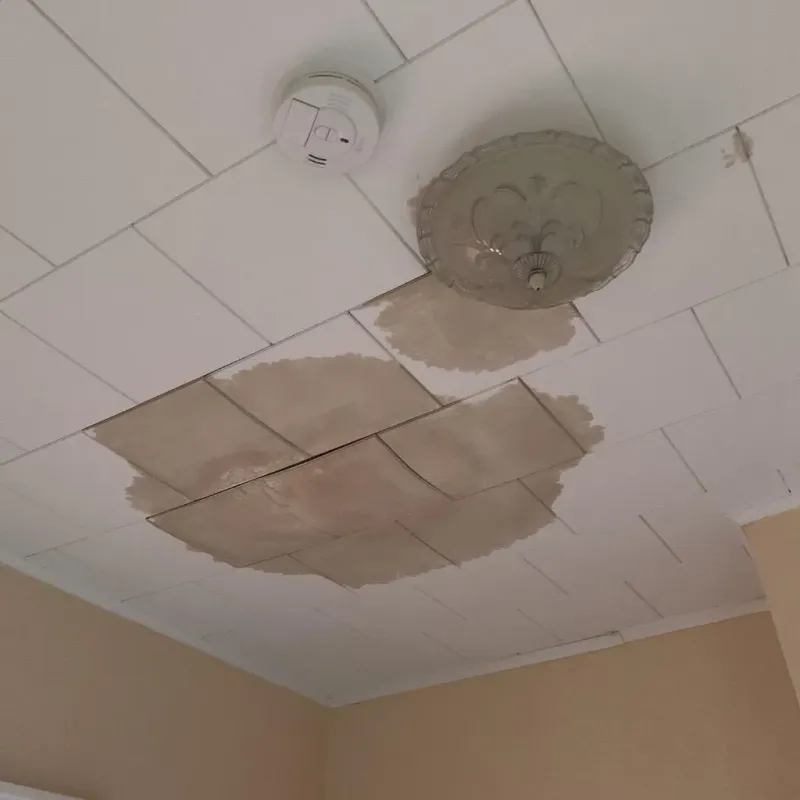 Ceiling Water Damage Repair in Tiburones, PR