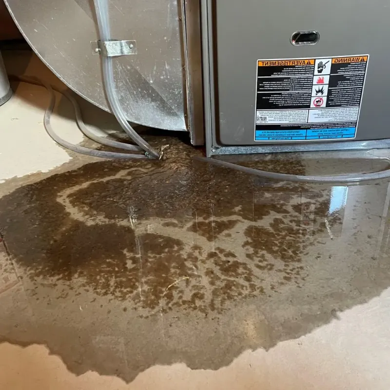 Pipe Burst and Leak Restoration in Tiburones, PR