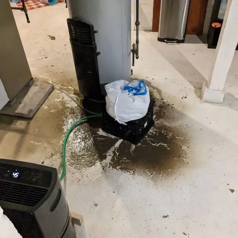 Sewage Backup Cleanup Service in Tiburones, PR